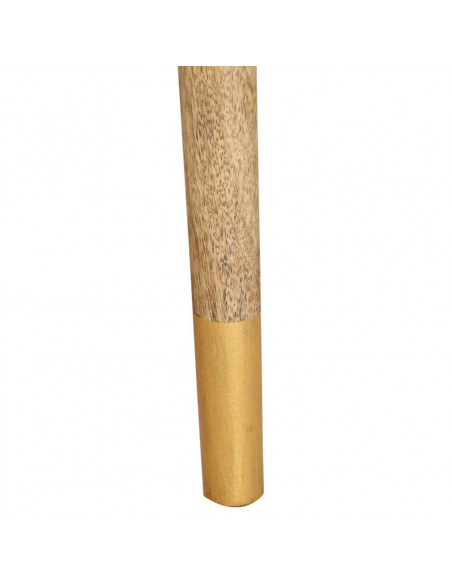 Comodino 40x30x58 cm in Legno Massello di Mango
