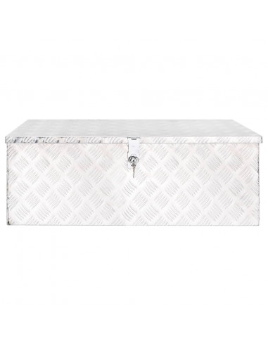 Contenitore Portaoggetti Argento 90x47x33,5 cm in Alluminio