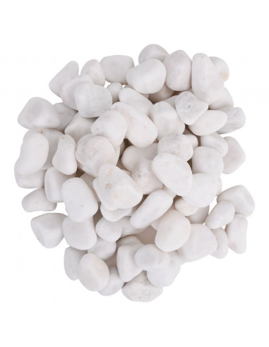 Ciottoli Levigati 25 kg Bianchi 2-5 cm