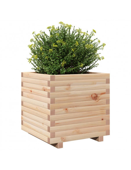 Fioriera da Giardino 50x50x49,5 cm in Legno Massello di Pino