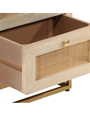 Comodino 40x30x50 cm in Legno Massello di Mango e Ferro