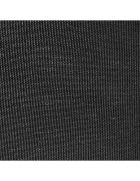 Parasole a Vela Oxford Triangolare 4x5x6,4 m Antracite