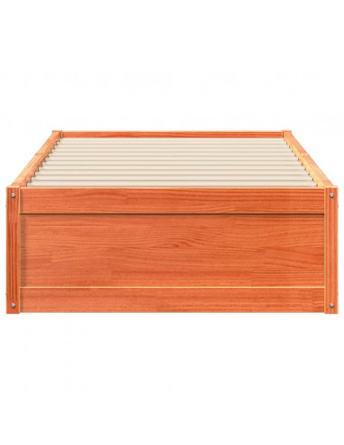 Giroletto Marrone Cera 75x190 cm in Legno Massello di Pino