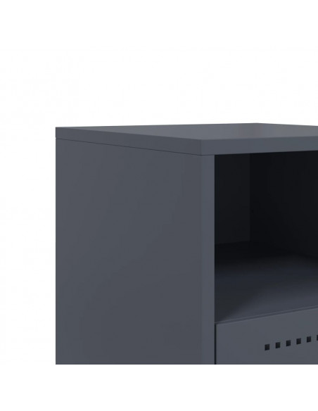 Comodini 2 pz Antracite 36x39x60,5 cm in Acciaio