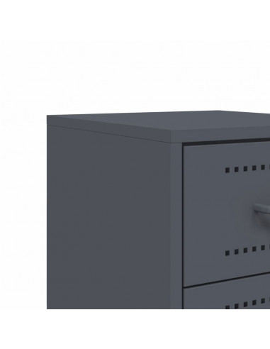 Comodini 2 pz Antracite 36x39x60,5 cm in Acciaio