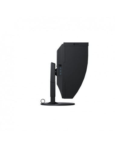 EIZO ColorEdge CG319X LED display 79 cm (31.1") 4096 x 2160 Pixel 4K DCI Nero