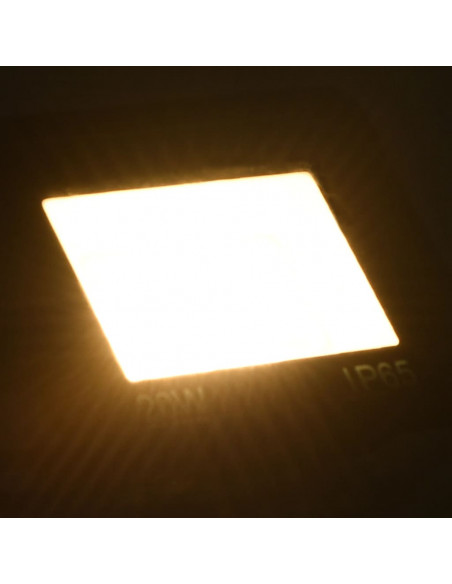 Faretto a LED 20 W Bianco Caldo
