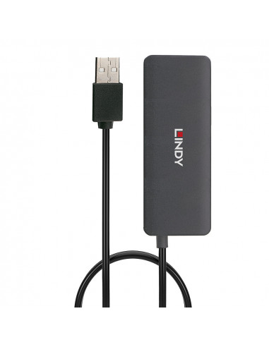 Lindy 42986 hub di interfaccia USB 2.0 480 Mbit/s Nero