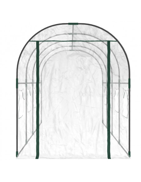 Serra Trasparente 160x400x190 cm PVC Acciaio Verniciato Polvere