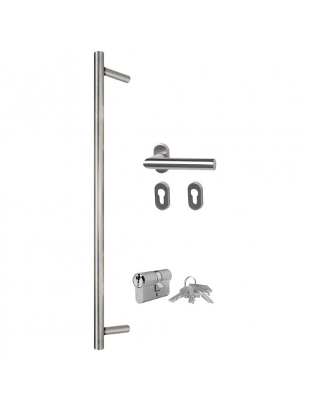 Porta Ingresso Antracite 100x200 cm in Alluminio e PVC