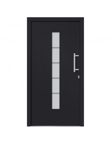 Porta d'Ingresso in Alluminio e PVC Antracite 100x200 cm