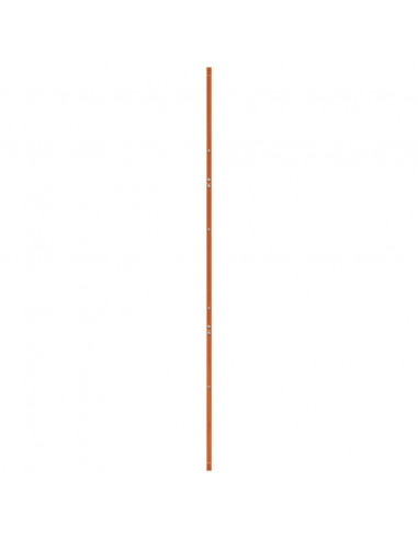 Porta del Granaio Marrone 100x208 cm in Legno Massello di Pino