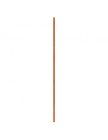 Porta del Granaio Marrone 100x208 cm in Legno Massello di Pino