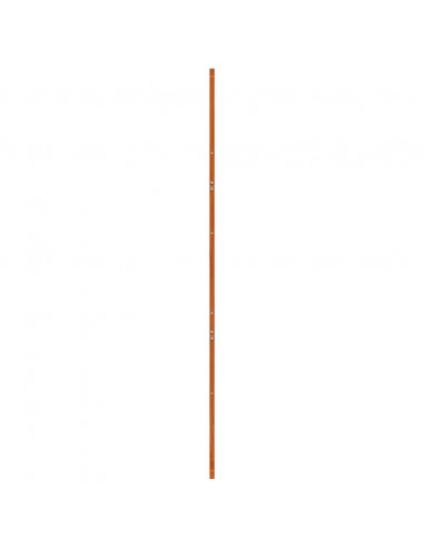 Porta del Granaio Marrone 80x208 cm in Legno Massello di Pino