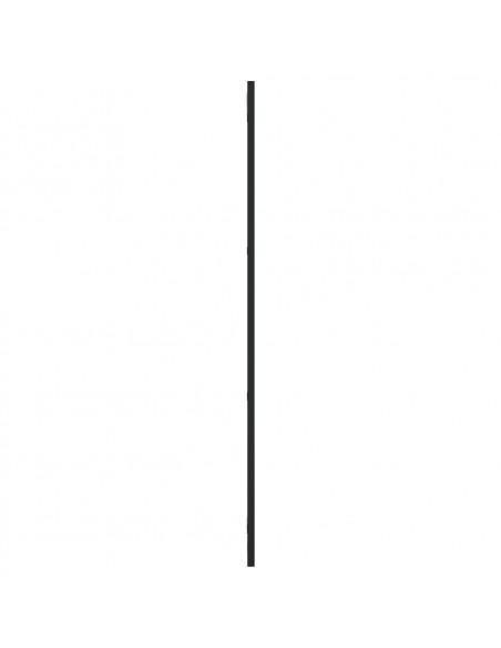 Specchio da Parete Nero 30x100 cm Rettangolare in Ferro