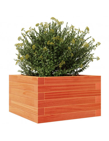 Fioriera Giardino Marrone Cera 40x40x23 cm Legno Massello Pino