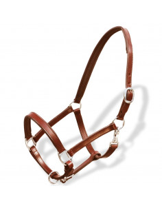 Cavezza testiera cuoio naturale regolabile per stalla marrone puledro 2