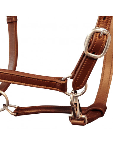 Cavezza testiera cuoio naturale regolabile per stalla marrone cavallo