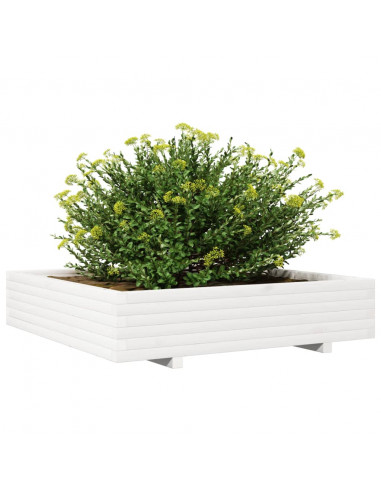 Fioriera da Giardino Bianca 110x110x26,5 cm in Legno di Pino