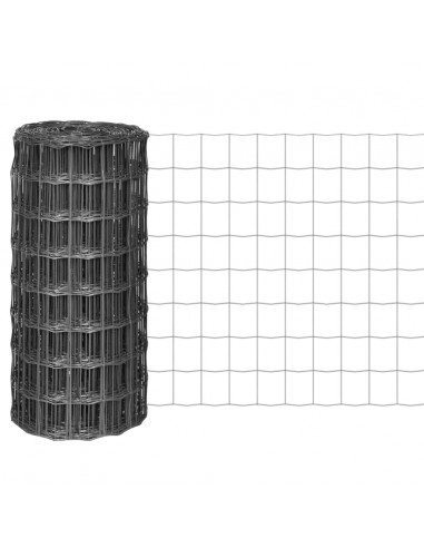 Recinzione Euro in Acciaio 10x0,8 m Grigia