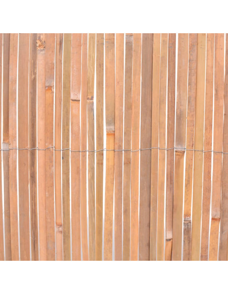 Recinzioni in Bambù 2 pz 100x400 cm