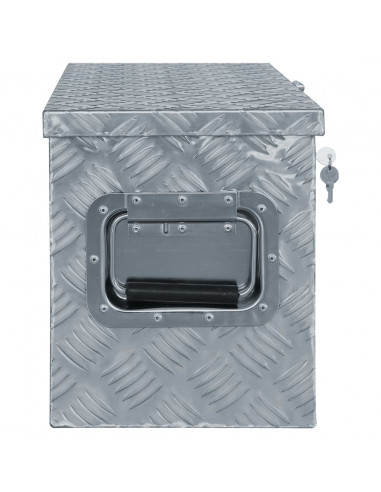 Cassetta in Alluminio 80x30x35 cm Argento
