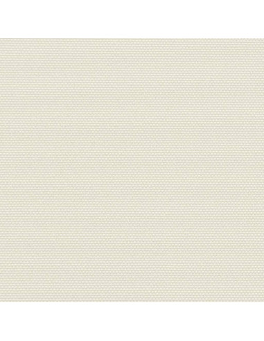 Tendalino Laterale per Patio Terrazzo 160 x 300 cm Crema