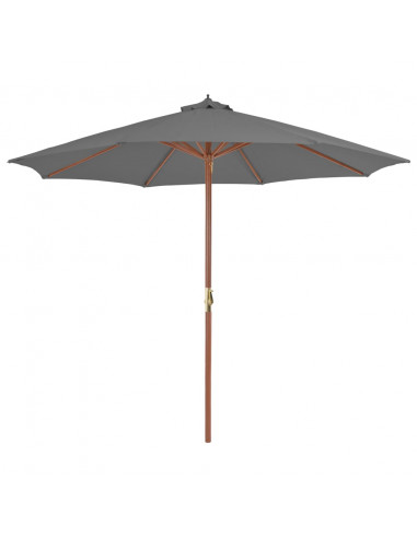 Ombrellone da Esterni con Palo in Legno 300 cm Antracite