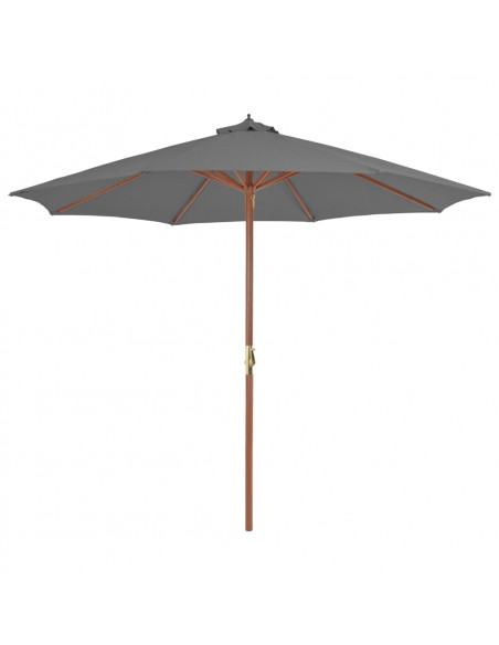 Ombrellone da Esterni con Palo in Legno 300 cm Antracite