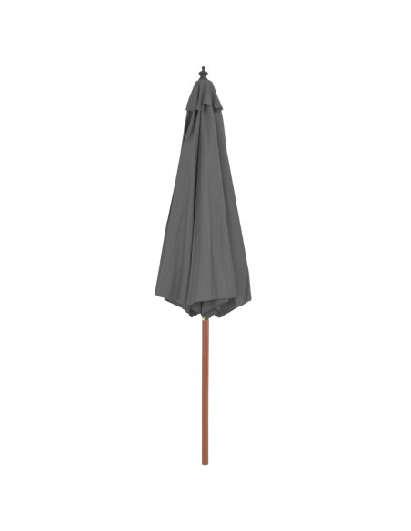 Ombrellone da Esterni con Palo in Legno 300 cm Antracite