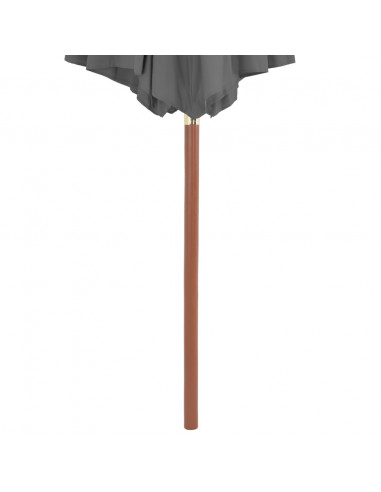 Ombrellone da Esterni con Palo in Legno 300 cm Antracite