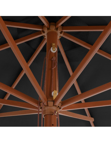 Ombrellone da Esterni con Palo in Legno 350 cm Antracite