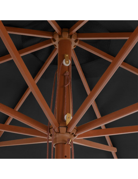 Ombrellone da Esterni con Palo in Legno 350 cm Antracite