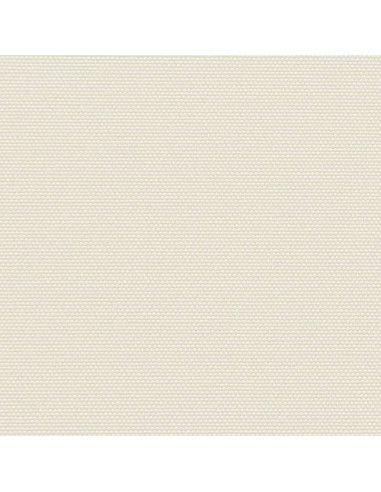 Tenda Laterale Retrattile per Patio 100x500 cm Crema
