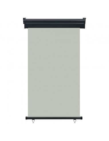 Tendalino Laterale per Balcone 105x250 cm Grigio