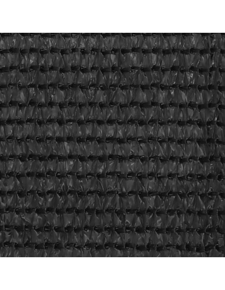 Schermo Frangivista per Balcone Antracite 120x600 cm in HDPE