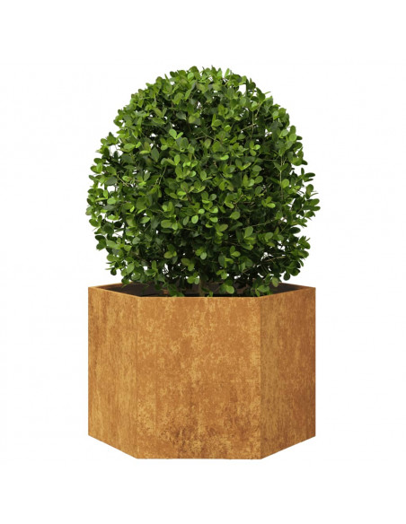 Fioriera da Giardino Esagono 69x60x45 cm in Acciaio Corten