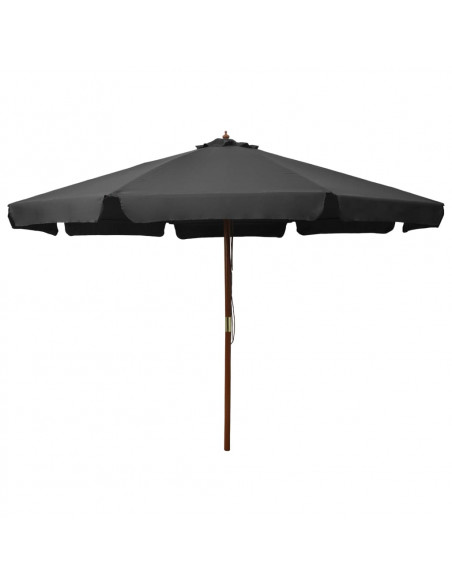 Ombrellone da Esterni con Palo in Legno 300 cm Antracite