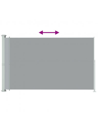 Tenda Laterale Retrattile per Patio 200x300 cm Grigia