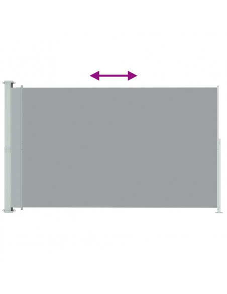 Tenda Laterale Retrattile per Patio 200x300 cm Grigia