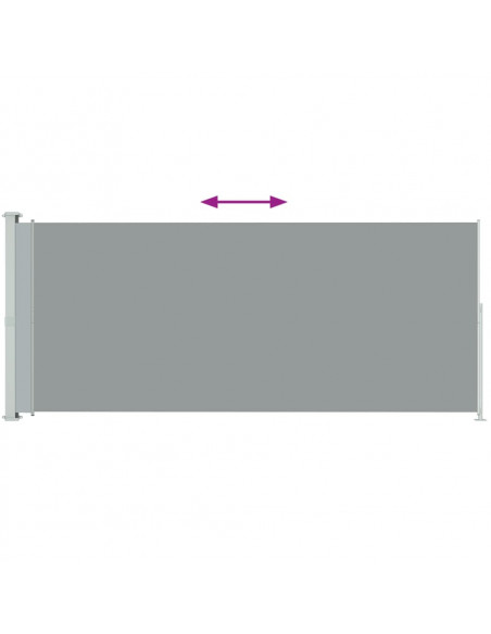 Tenda Laterale Retrattile per Patio 180x500 cm Grigia