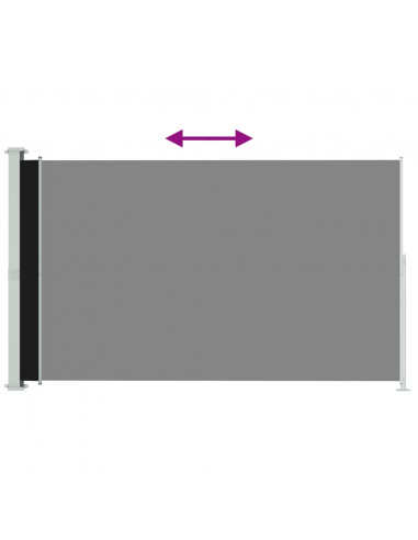 Tenda Laterale Retrattile per Patio 200x300 cm Nero