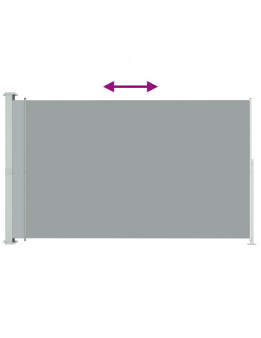 Tenda Laterale Retrattile per Patio 220x300 cm Grigia