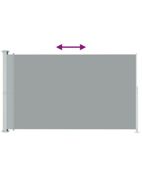 Tenda Laterale Retrattile per Patio 220x300 cm Grigia