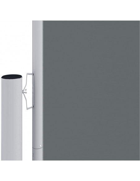 Tenda da Sole Laterale Retrattile Antracite 220x600 cm