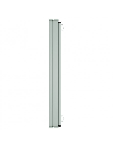 Tenda da Sole Laterale Retrattile per Patio 160x600 cm Blu