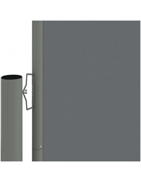 Tenda Laterale Retrattile Antracite 117x1200 cm