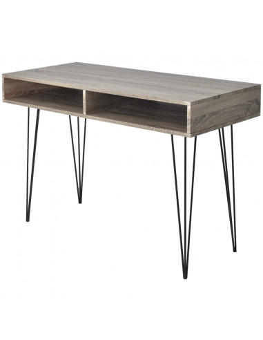 Scrivania con 2 Scomparti Grigia