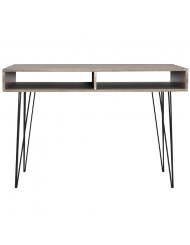 Scrivania con 2 Scomparti Grigia