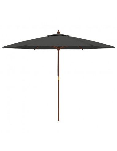 Ombrellone da Giardino con Palo in Legno Antracite 299x240 cm